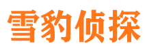 天桥找人公司